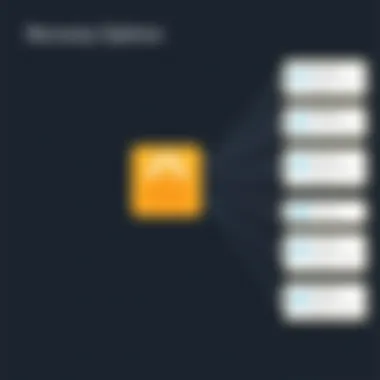Recovery Options in Aomei Backupper Standard Diagram highlighting the recovery options available in Aomei Backupper Standard