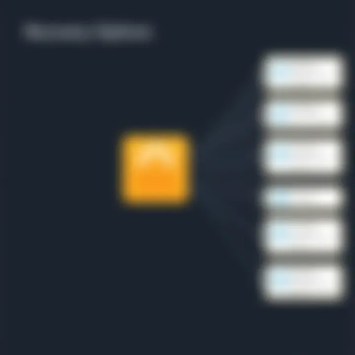 Recovery Options in Aomei Backupper Standard Diagram highlighting the recovery options available in Aomei Backupper Standard