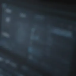 Secure Remote Access Software Interface