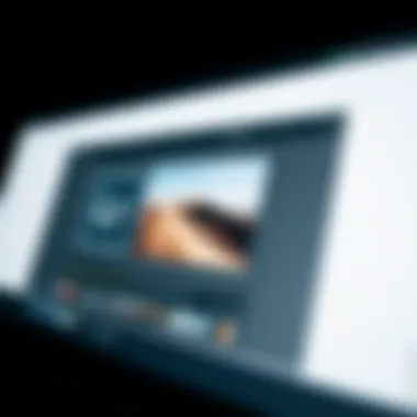 Adobe Lightroom User Interface A visual representation of the Adobe Lightroom user interface showcasing editing tools.