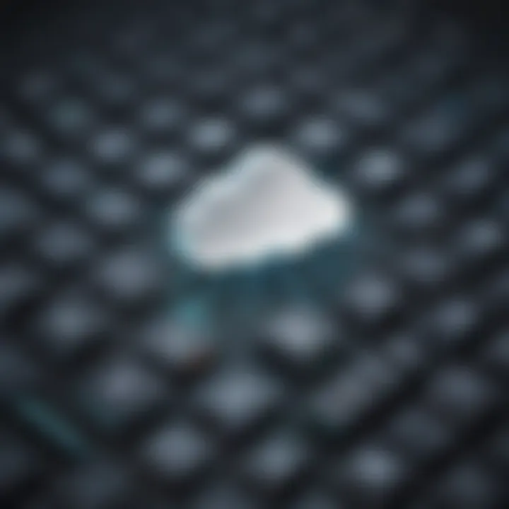Key Features of Directus Cloud