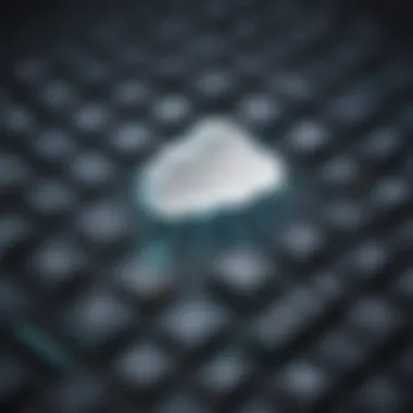 Highlighting the Key Features of Directus Cloud Key Features of Directus Cloud