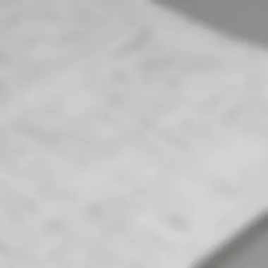 Professional Wireframe Layout Professional wireframe layout showcasing a web application interface