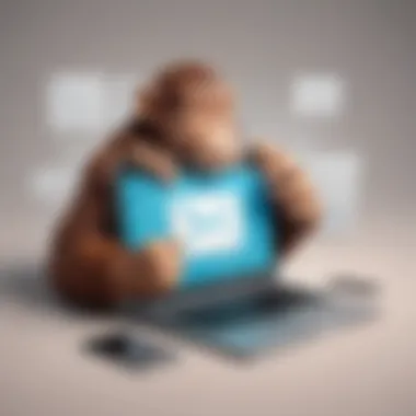 Email Marketing Strategies with Mailchimp Infographic summarizing email marketing strategies