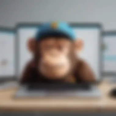 Visual representation of Mailchimp features