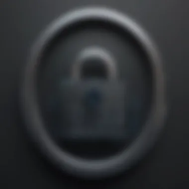 Essential Security Features in Password Managers A visual representation of password security features.