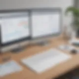 Comparison of tax software interfaces