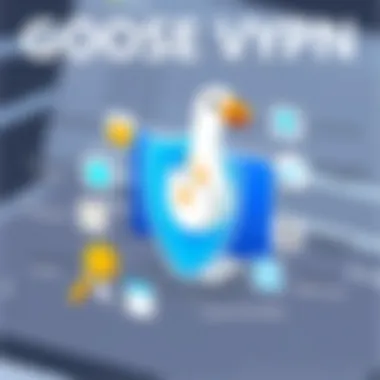 Visual representation of Goose VPN security features