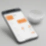 User-friendly interface of Invoicely app showcasing navigation