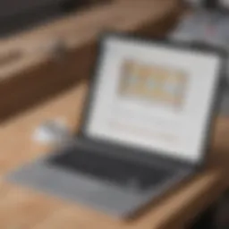Interface of joist estimating software showcasing features