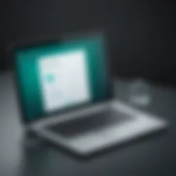Interface of Kaspersky Password Manager showcasing user-friendly design