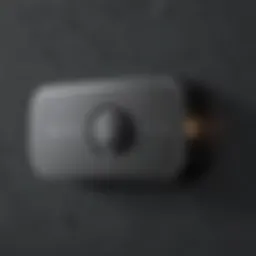 Secure interface of Passbolt password manager