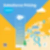 Illustration of Salesforce Maps pricing structure