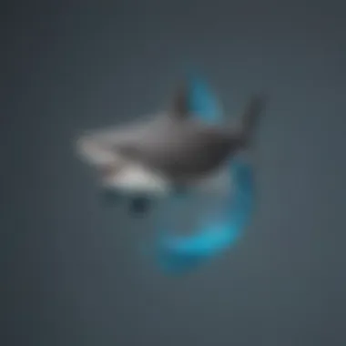 Surf Shark VPN Discounts and Promotions Infographic detailing Surf Shark VPN discounts and offers