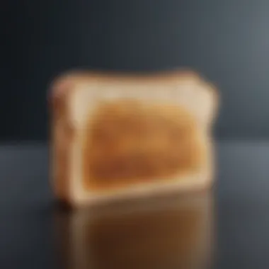 Security Features of Toast Security measures implemented in Toast payment system