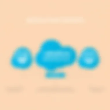 Infographic showing components of Salesforce Marketing Cloud licenses