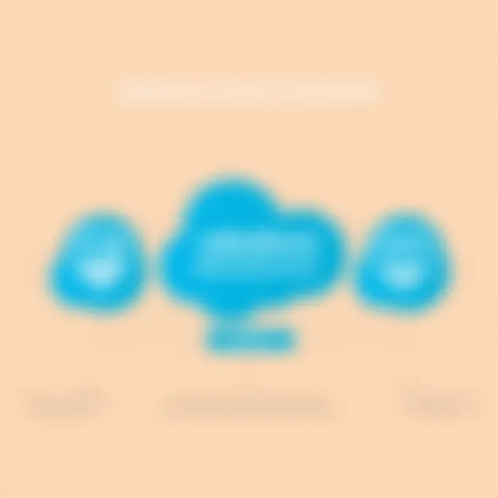 Infographic showing components of Salesforce Marketing Cloud licenses