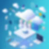 Conceptual representation of SaaS architecture