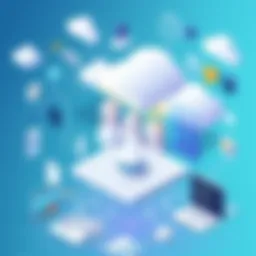 Conceptual representation of SaaS architecture