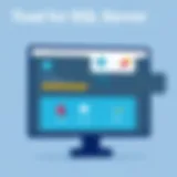 User interface of Toad for SQL Server showcasing data management features