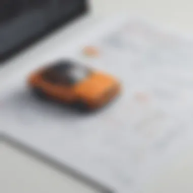 Insights from Users of Rally User experience feedback on Rally
