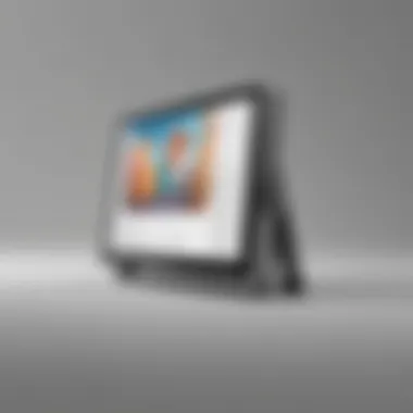 Display of digital content using Xogo Mini